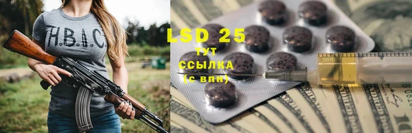 трава Богородицк