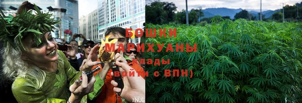 прущие грибы Белокуриха