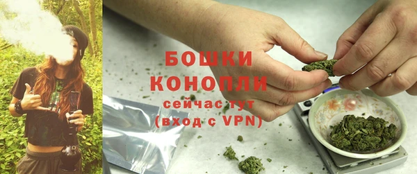 трава Богородицк